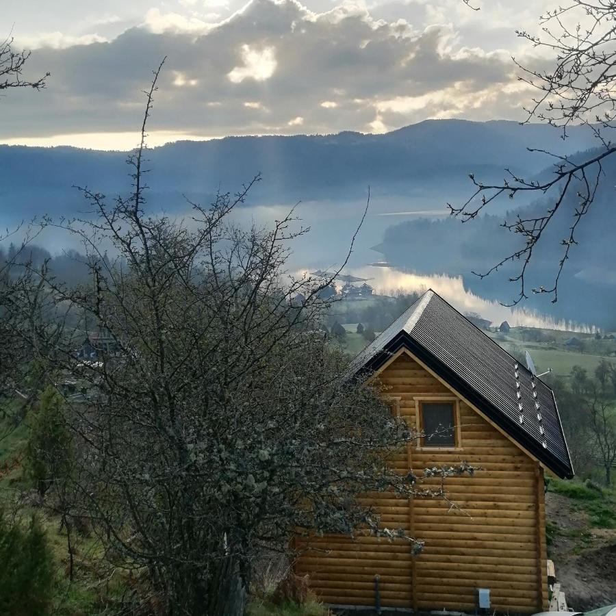 Vila Bella, Tara, Zaovinsko Jezero Villa Zaovine Exteriör bild