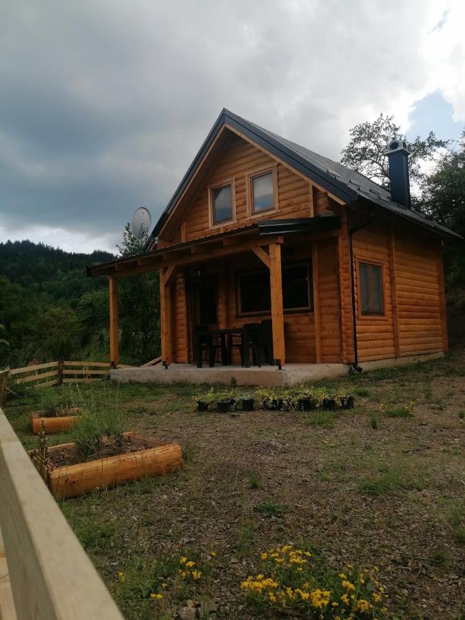 Vila Bella, Tara, Zaovinsko Jezero Villa Zaovine Exteriör bild