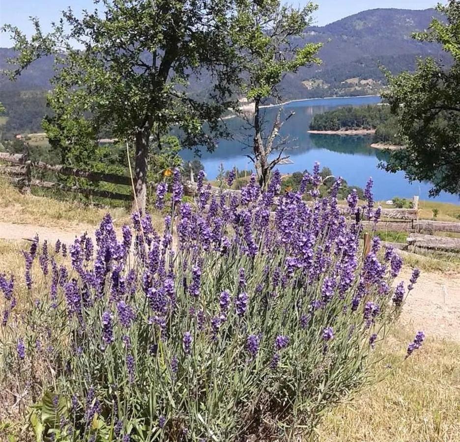 Vila Bella, Tara, Zaovinsko Jezero Villa Zaovine Exteriör bild