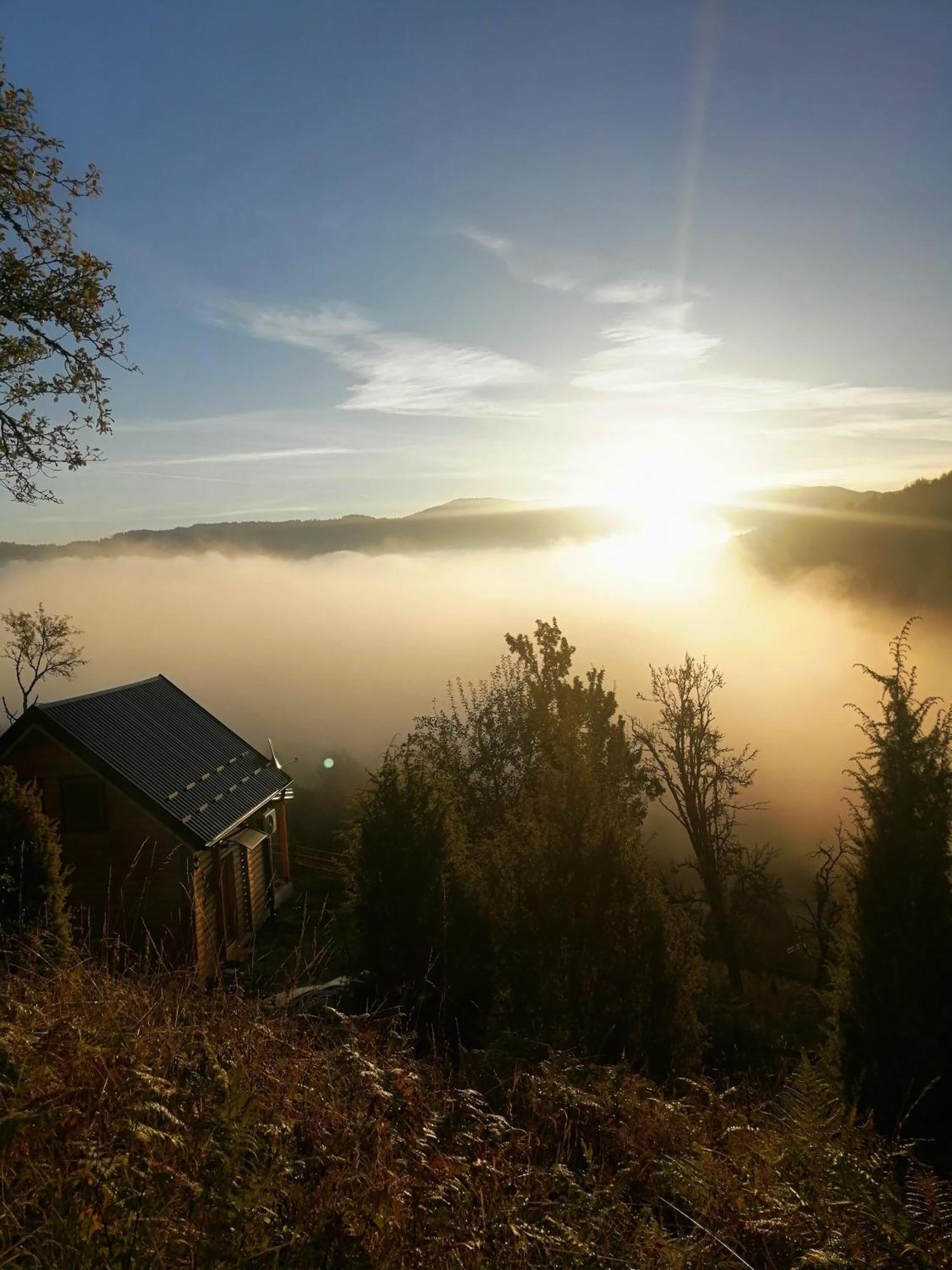 Vila Bella, Tara, Zaovinsko Jezero Villa Zaovine Exteriör bild